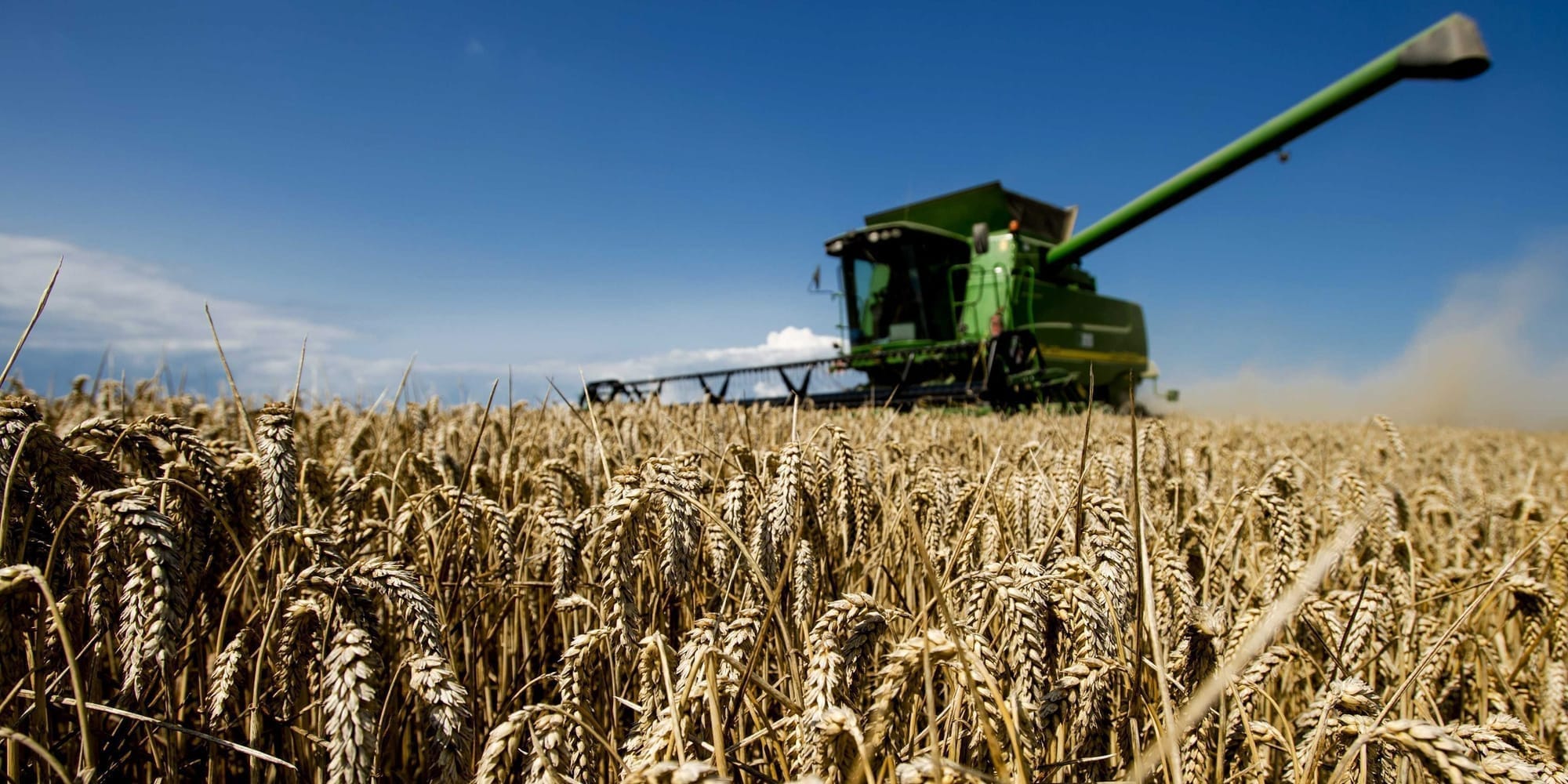 Минсельхоз Кыргызстана запускает девять льготных агропроектов на 13.2 млрд сомов