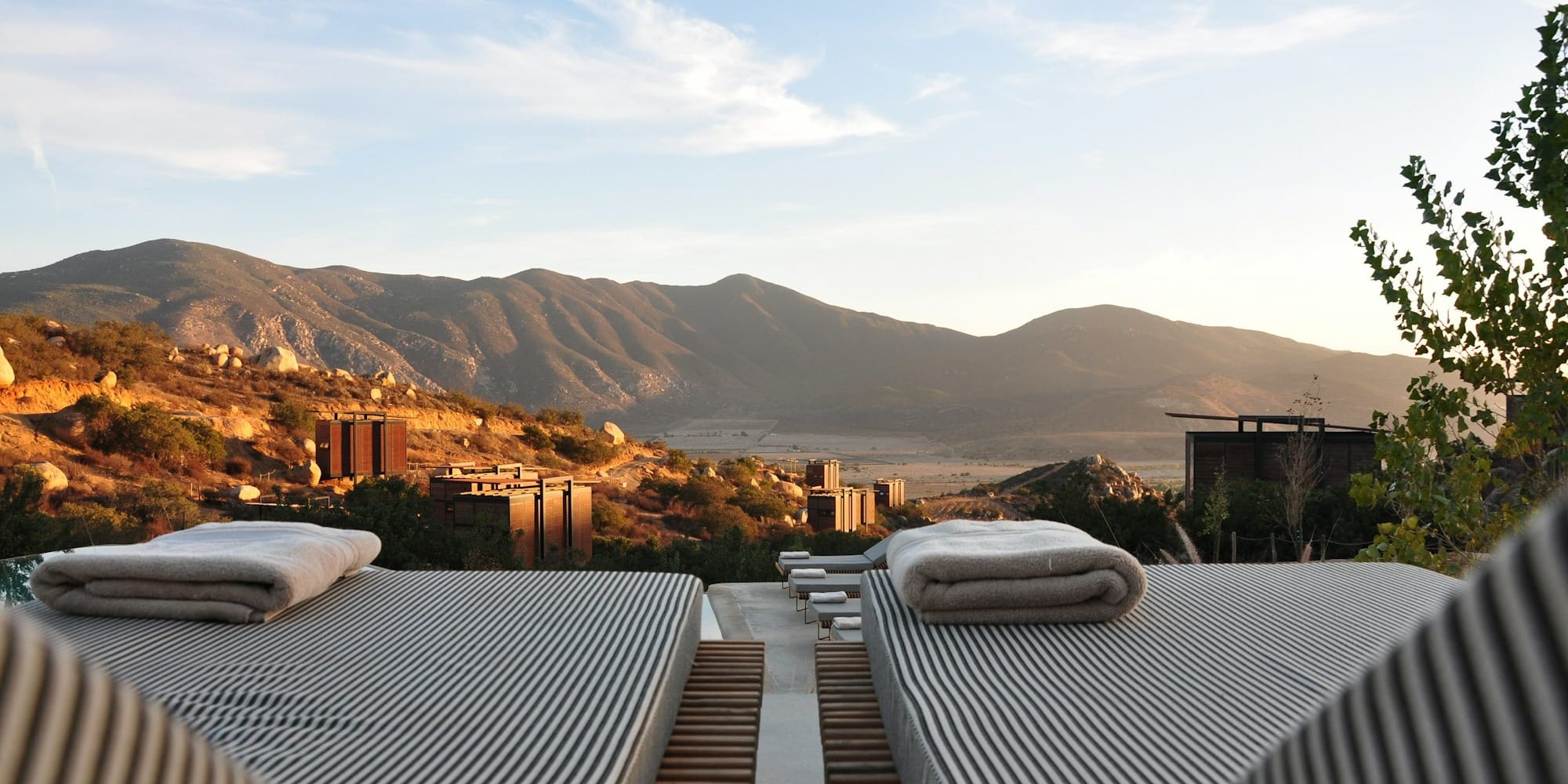 Рекордные 73.3 млрд сомов: рынок HoReCa вырос в семь раз за 15 лет