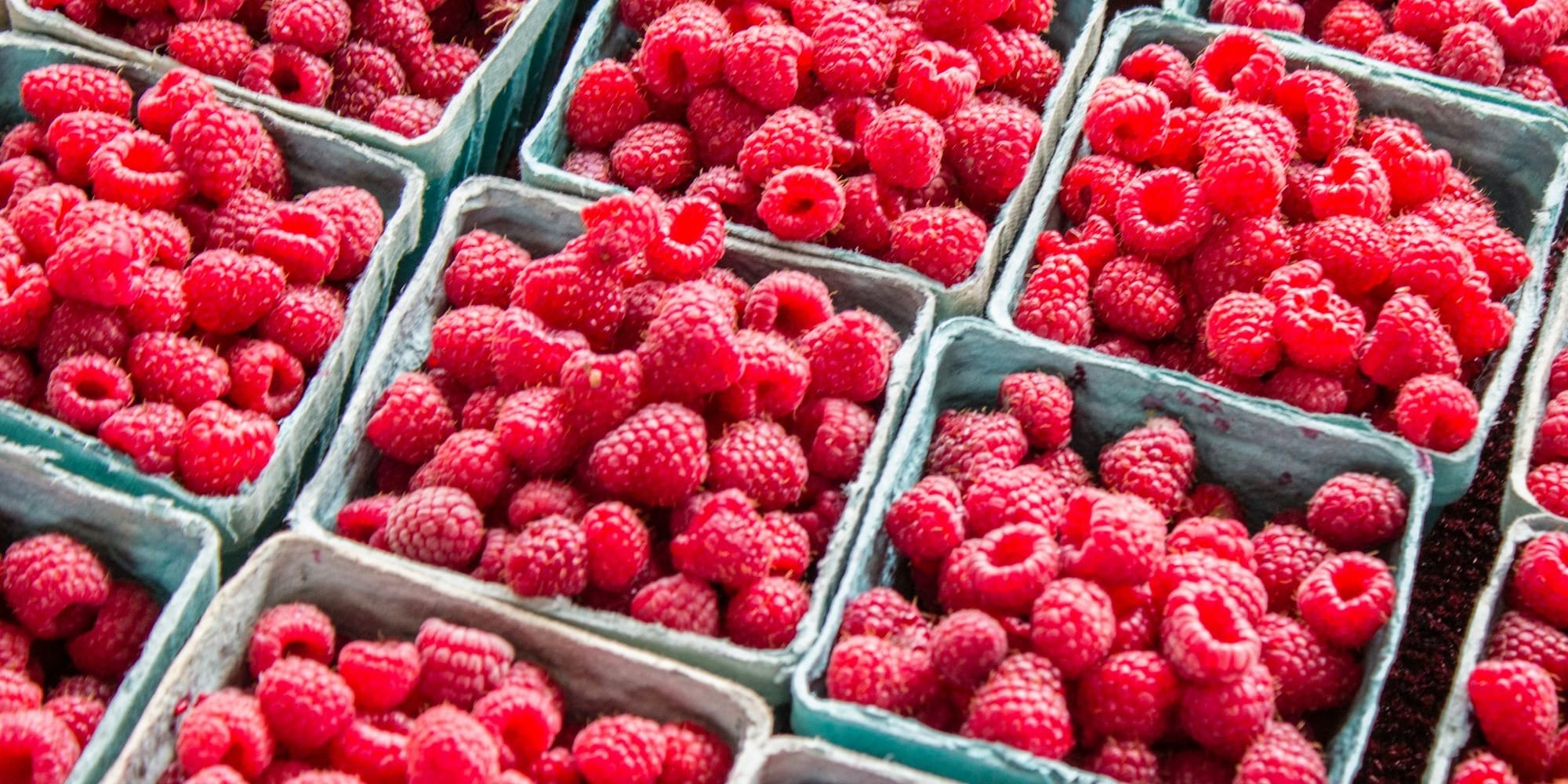 Малиновый Кыргызстан: как занять нишу «красного золота» на фоне мирового кризиса