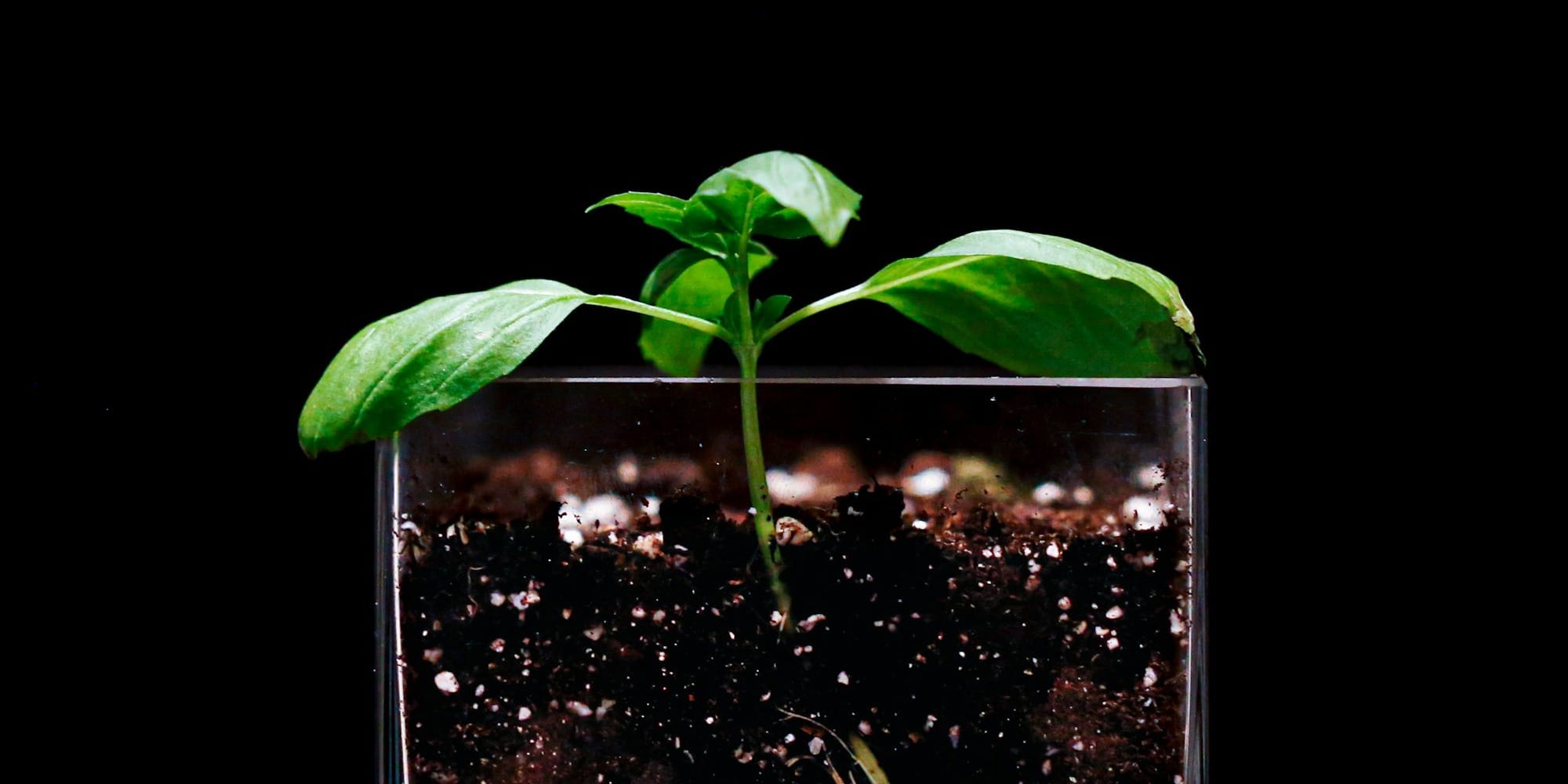 Где в КР сдать почву на анализ — номера для аграриев