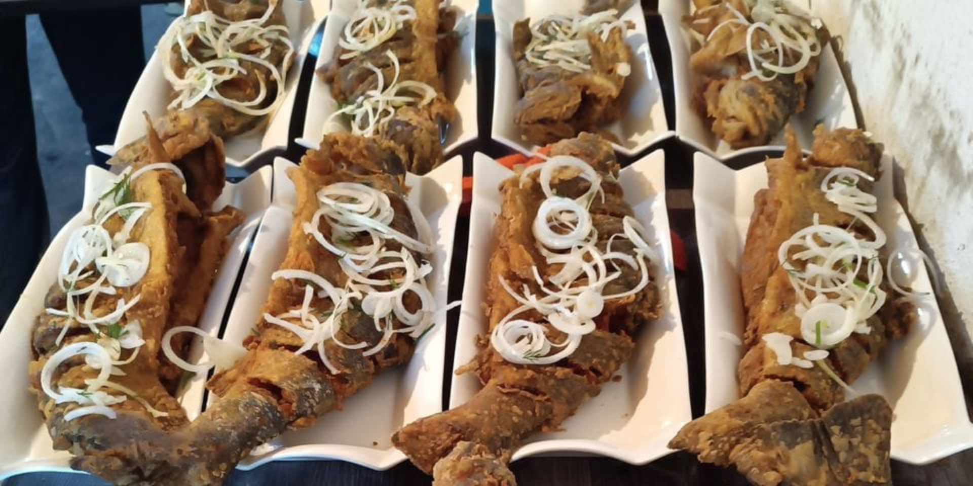 Вместо молока — королевская форель: как предпринимательница из Таласа построила рыбную империю