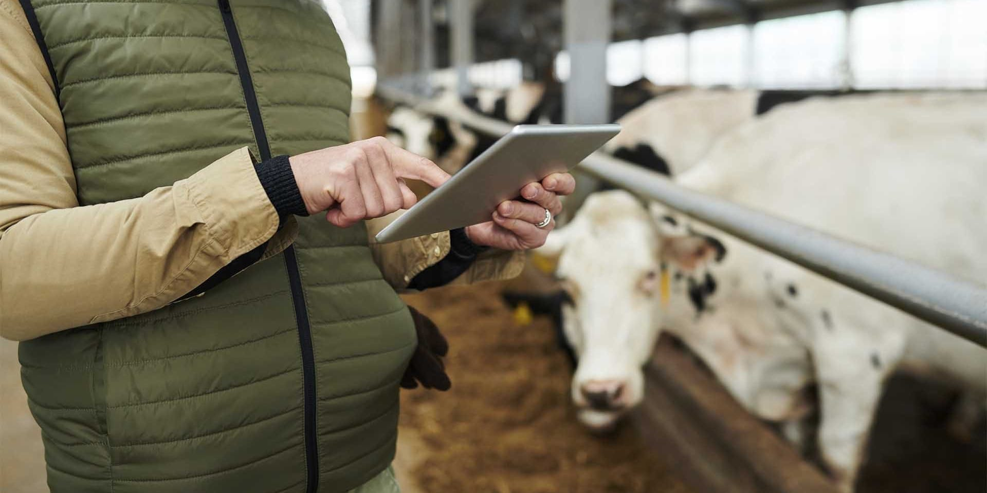 Сельскохозяйственная перепись в Кыргызстане стартует 20 марта