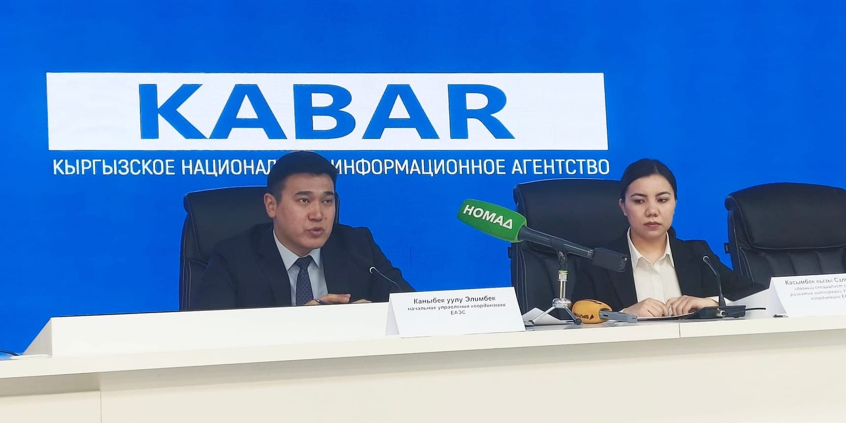 ЕЭК одобрила для Кыргызстана пакет тарифных льгот и отсрочек