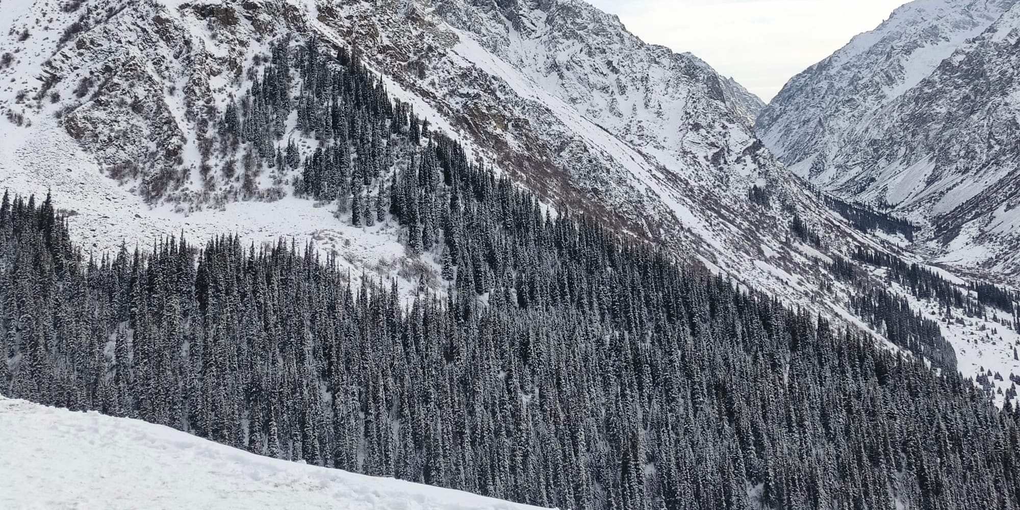 Доходы от экотуризма в Кыргызстане удвоились, превысив 37 млн сомов без учета «Ала-Арчи»