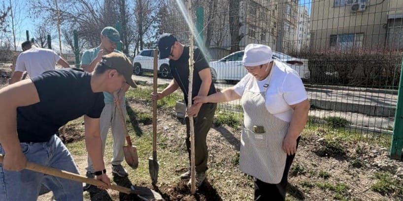Мэрия Бишкека провела акцию по озеленению в учебных заведениях