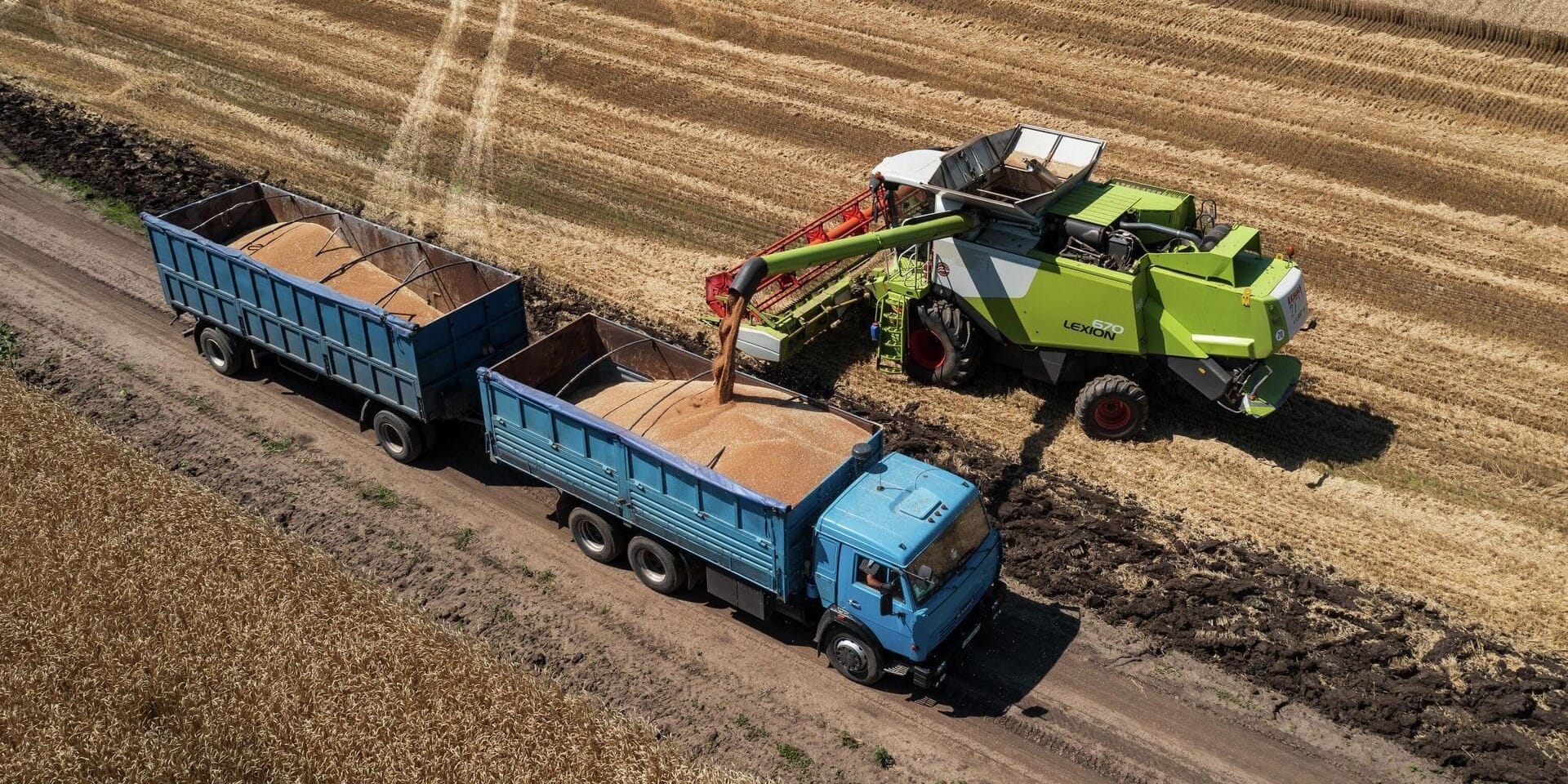 Как кооперативам КР поднять урожайность на 35%, рассказали в Минсельхозе