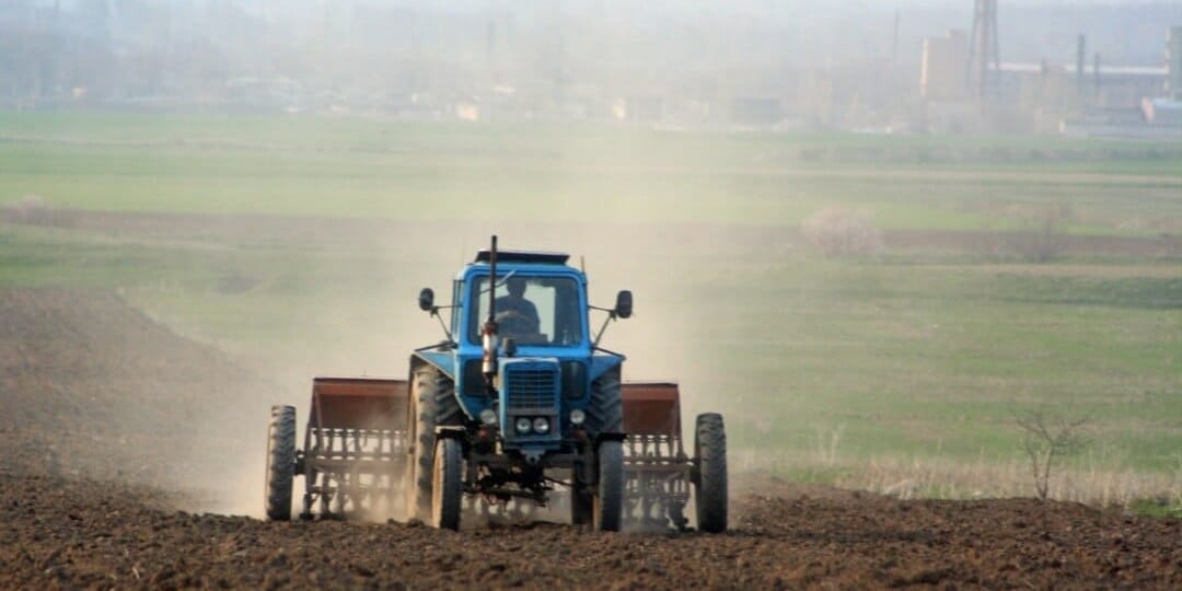 Посевная-2026: в Кыргызстане планируют засеять 1.25 млн гектаров