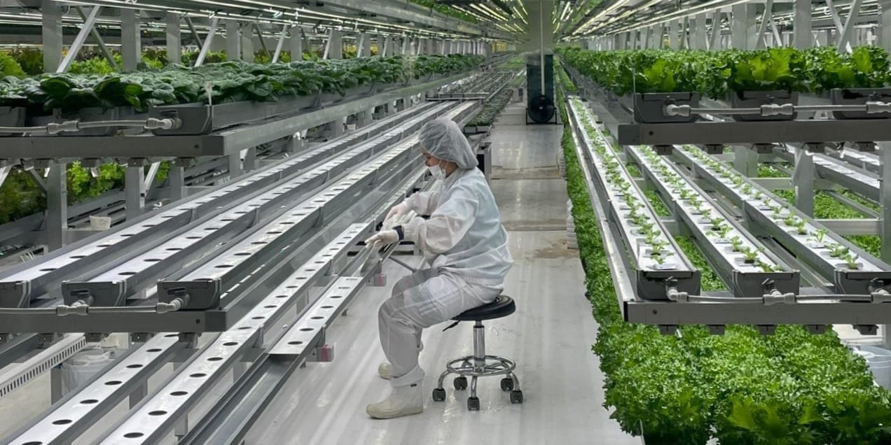 Делегация Минсельхоза Кыргызстана посетила Корею для изучения технологий «умных ферм»