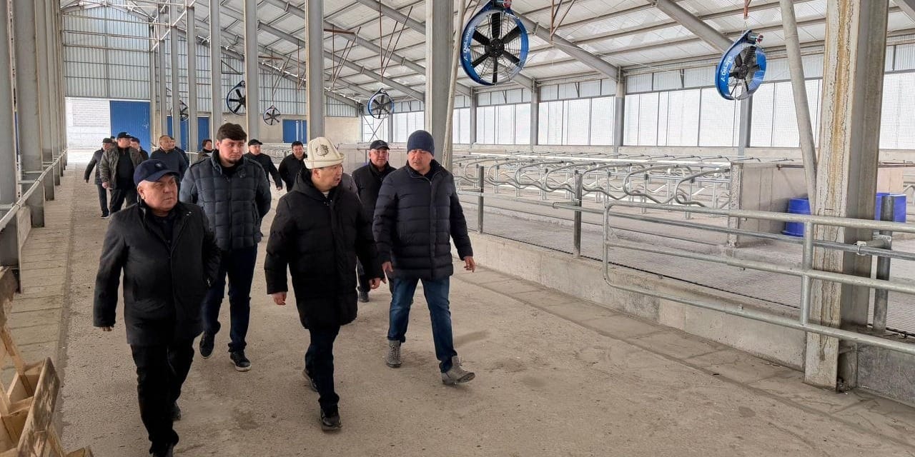 Технологии DeLaval внедряют на новой молочной ферме в Сокулуке