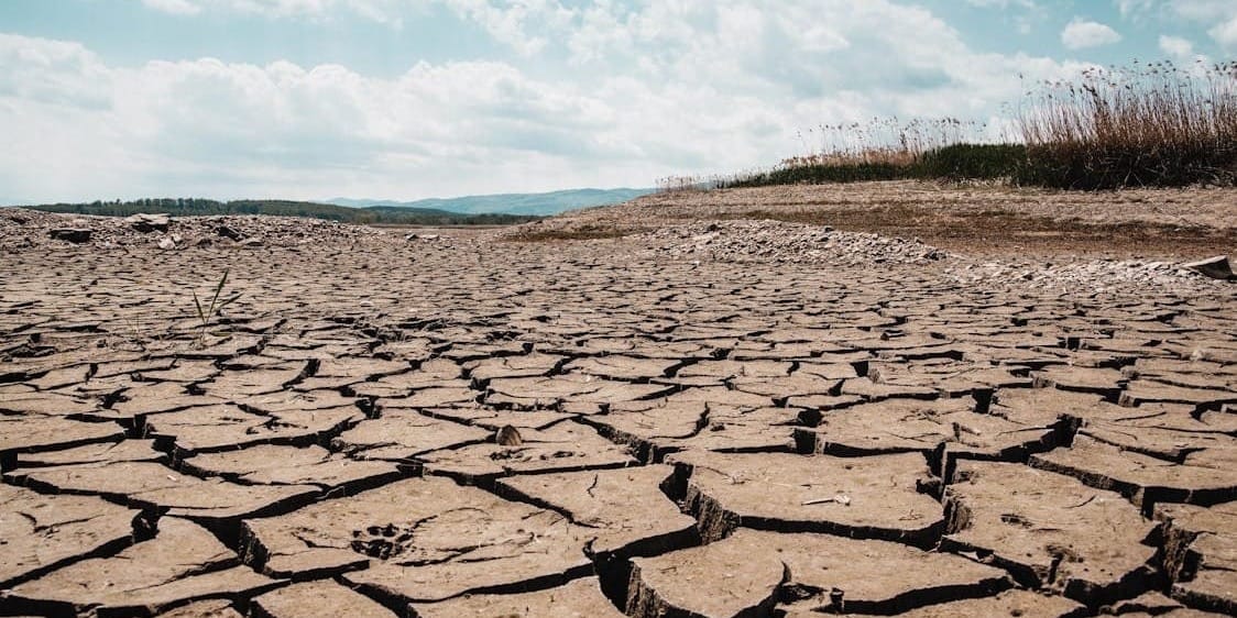 Водный кризис и опустынивание в Центральной Азии: Казахстан вводит жесткие лимиты на полив