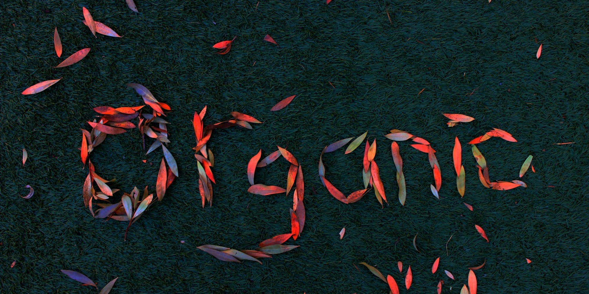 Органическое земледелие охватило 61.5 тысячи га в Кыргызстане