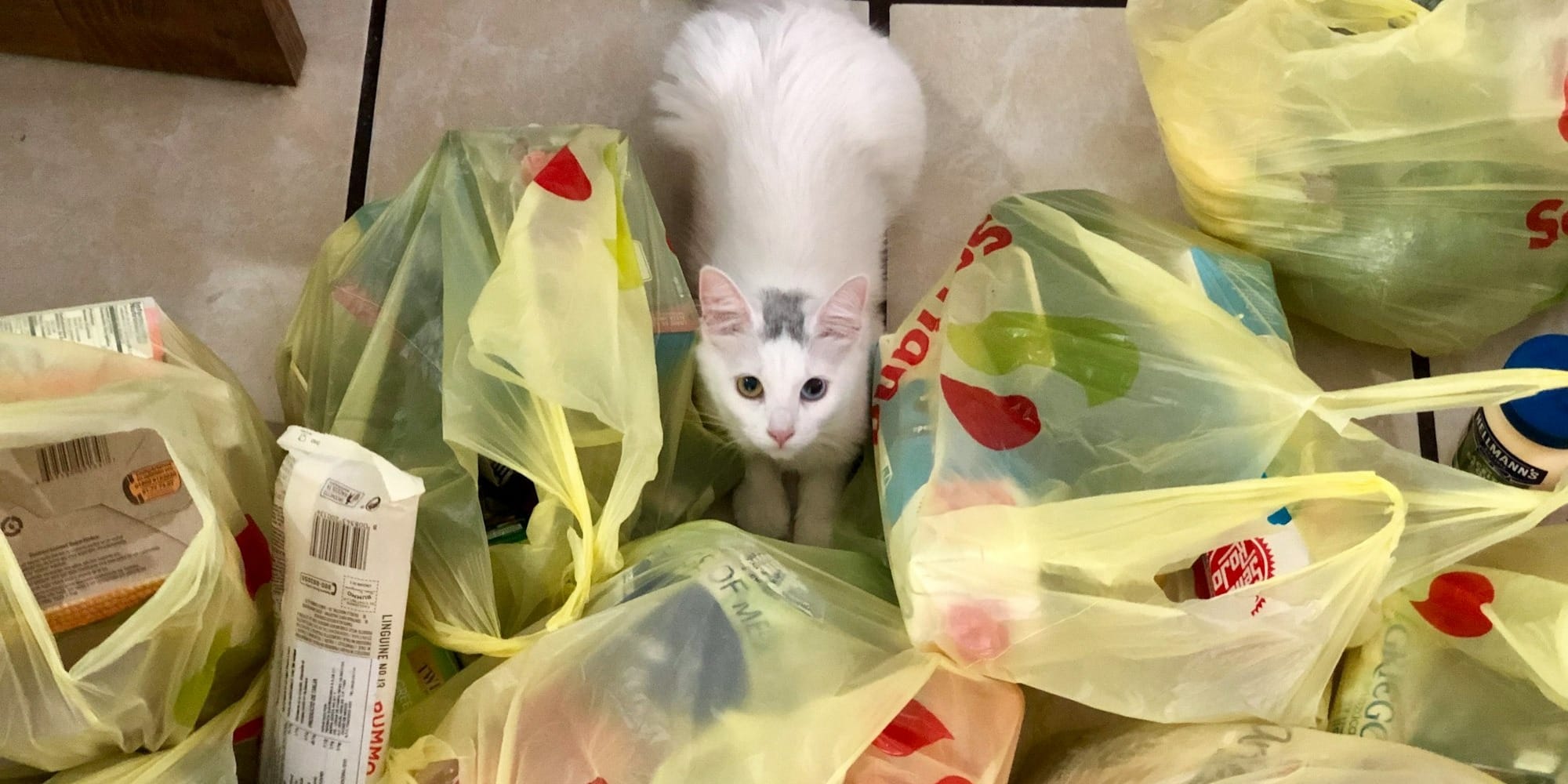 Кабмин предложил «белый список» пластика и посуды, разрешенных к обороту в КР