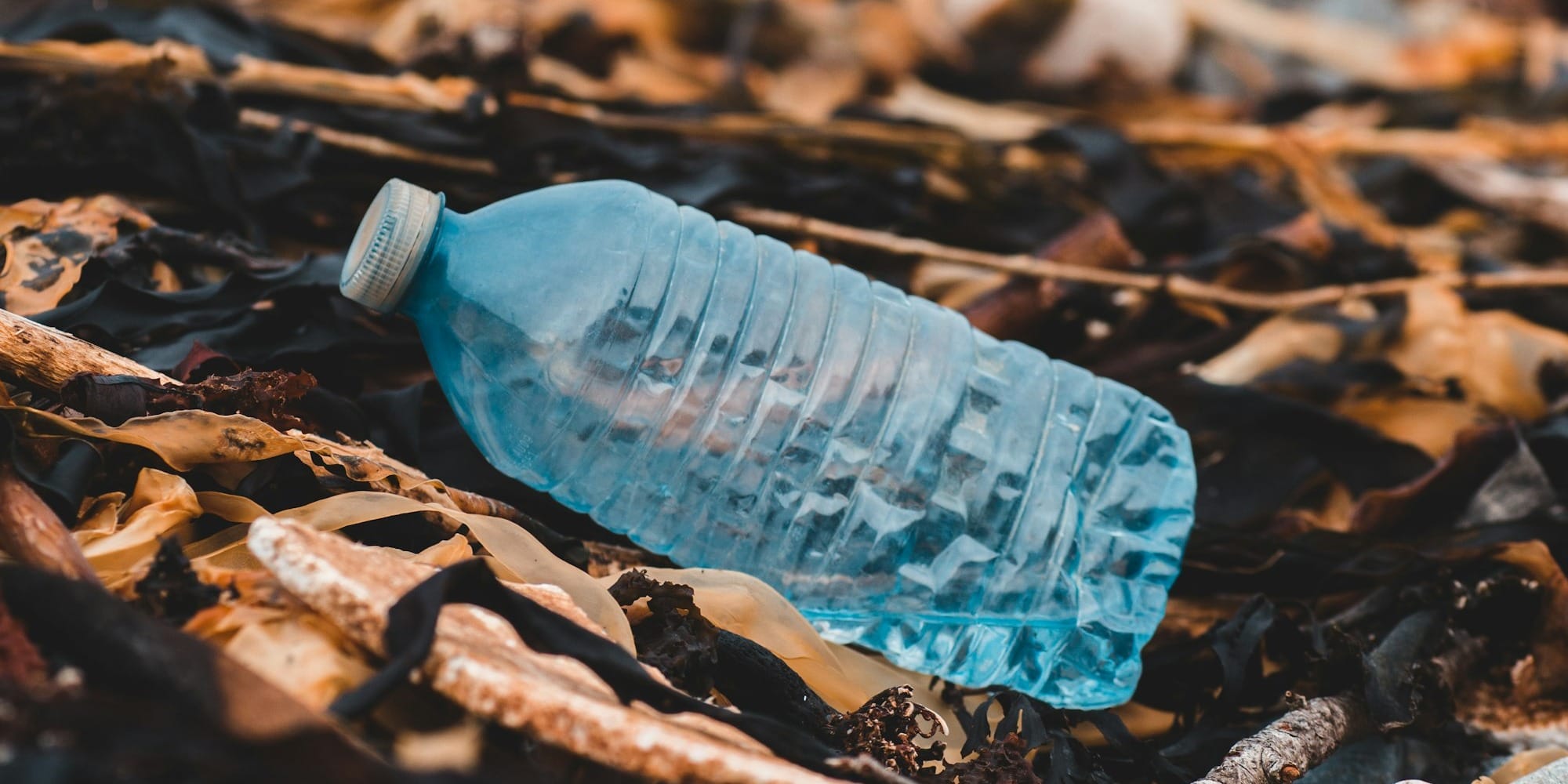 Бонусы за бутылки и ESG-статусы: ритейл Кыргызстана готовится отказаться от пластика