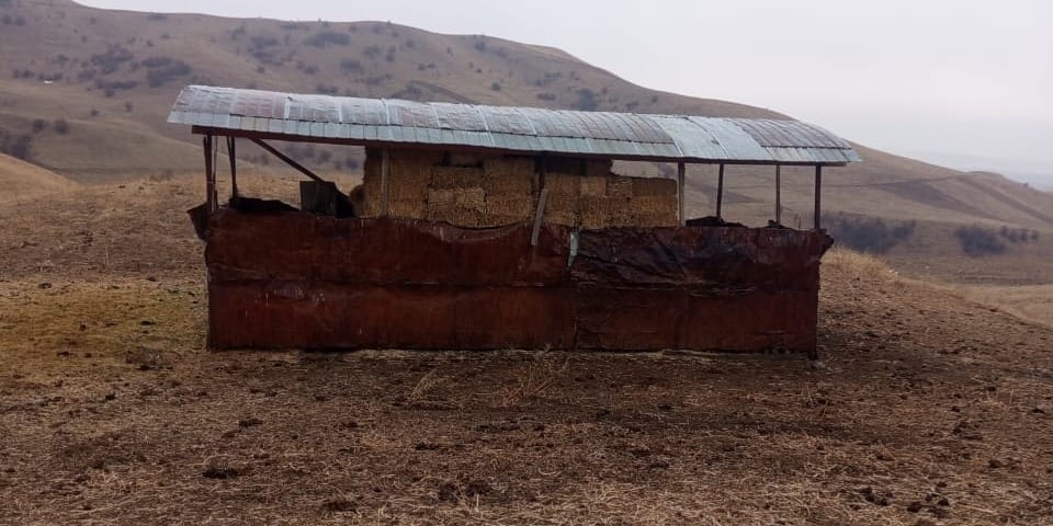 Двух жителей Узгена наказали за захват пастбища и порчу почвы