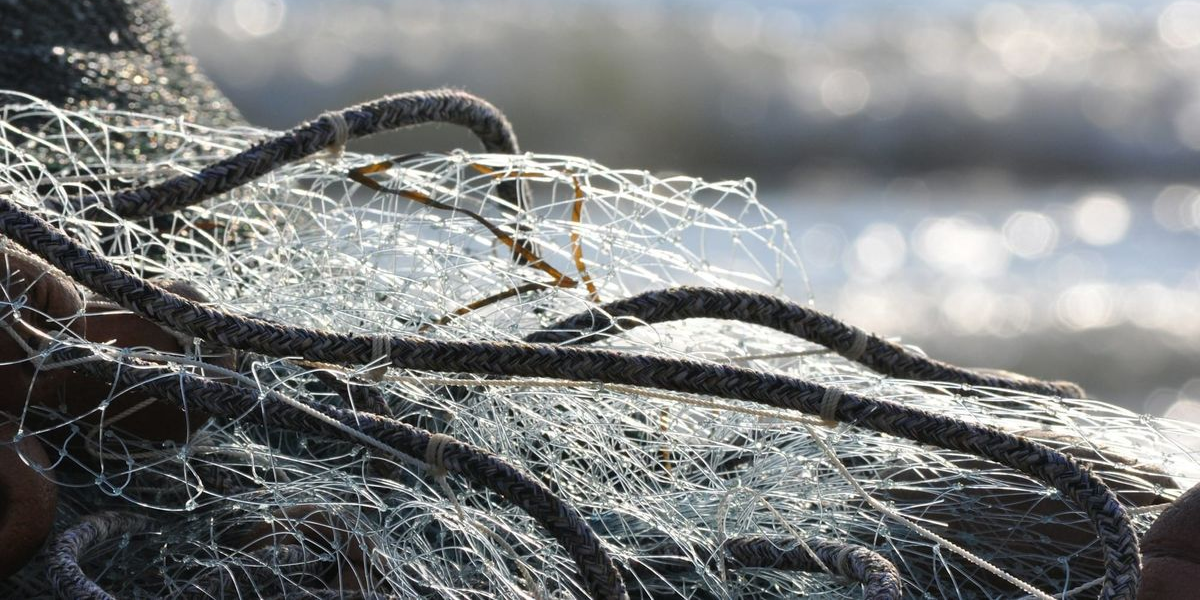 Садыр Жапаров 2026, Иссык-Куль очистка сетей, запрет на рыбалку в Кыргызстане 2026, синтетические сети КР, нерест 2026 Иссык-Куль, экология Кыргызстана