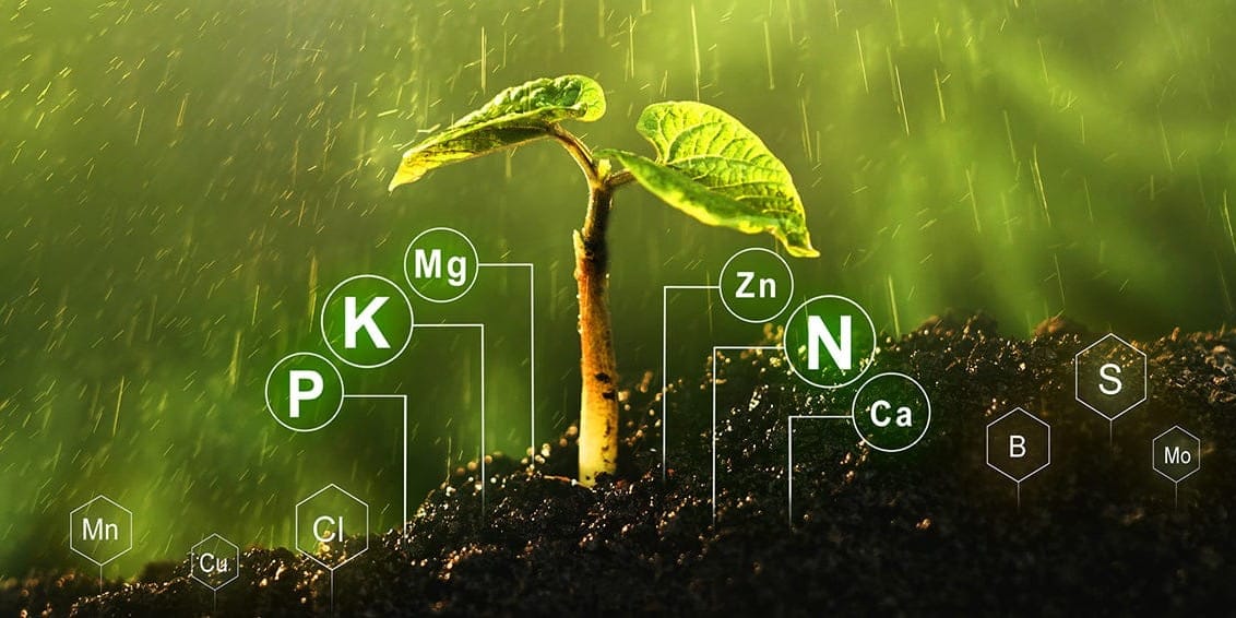 Комитет ЖК приняли в первом чтении законопроект «О климатической деятельности»