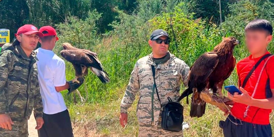 В КР ввели обязательную регистрацию диких животных — на легализацию дали полгода
