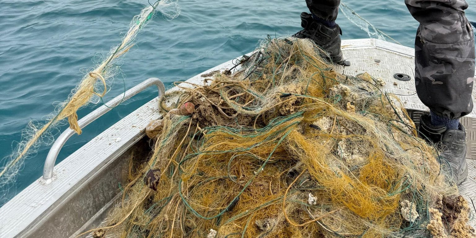 Садыр Жапаров 2026, Иссык-Куль новости, браконьерство в Кыргызстане, запрет на рыболовные сети, Минприроды КР, очистка Иссык-Куля, штрафы за вылов рыбы КР, экология Кыргызстана