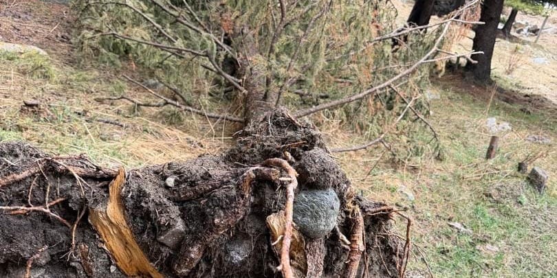 малая ГЭС Кемин штраф, экология Кыргызстана новости 2026, Служба экотехнадзора КР проверки, Минприроды КР ГЭС, строительство ГЭС нарушения, Economist.kg новости