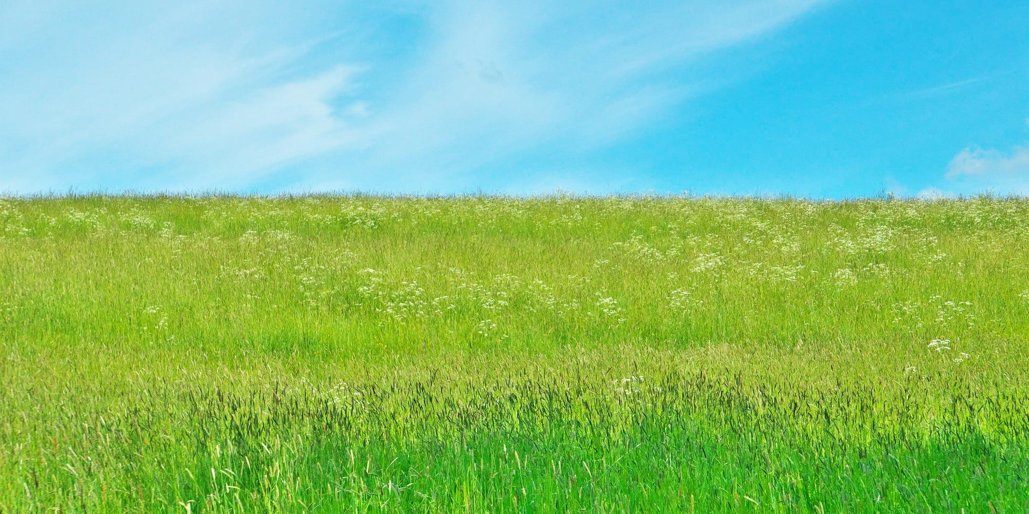 В Кыргызстане 400 тысяч гектаров пастбищ перевели в режим восстановления