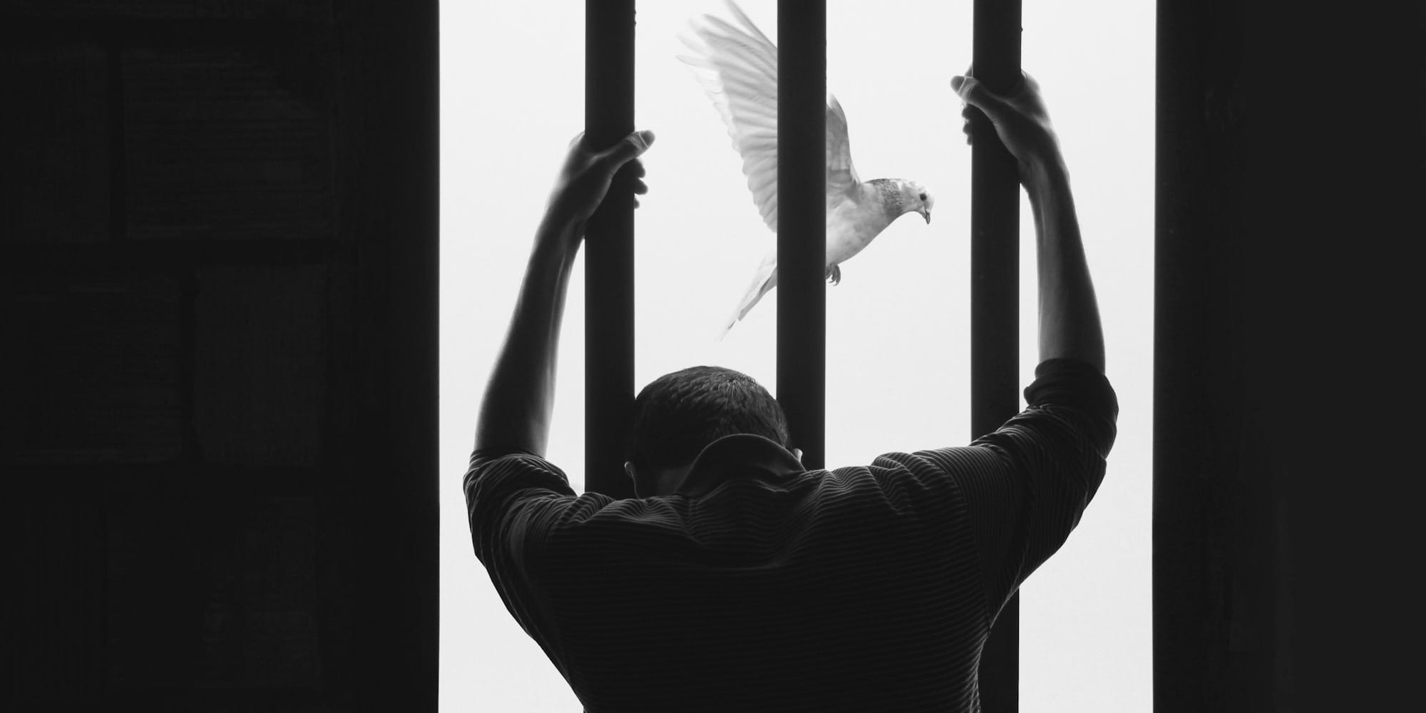 Налоги вместо нар: как пробация экономит Кыргызстану 1.1 млрд сомов в год