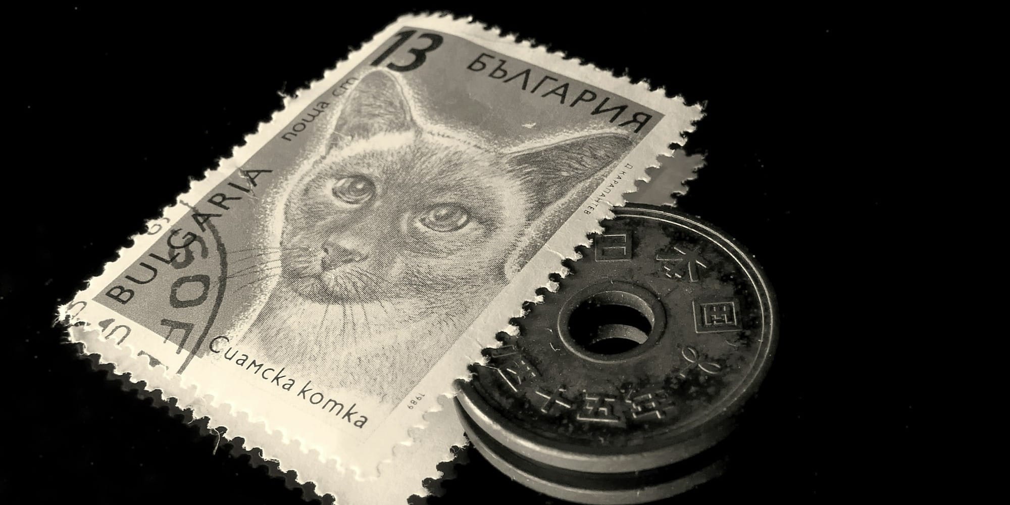 Марки для Кубы и животные для Нигера: что Кыргызстан экспортирует в экзотические страны