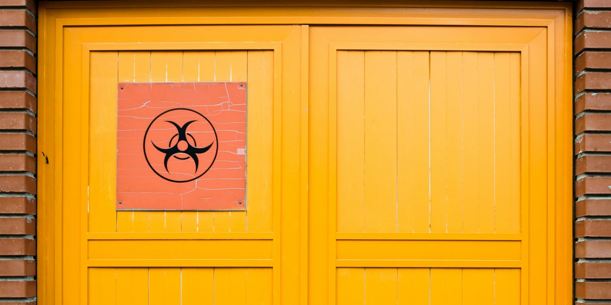 Кыргызстан готовит систему борьбы с биоугрозами: законопроект