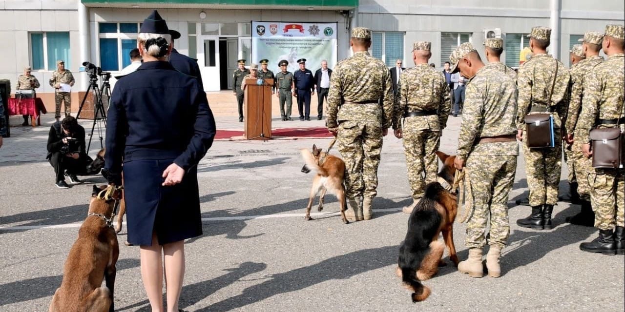 В правоохранительные органы Кыргызстана ветеринаров будут принимать без конкурса