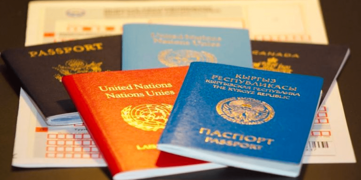 В Кыргызстане планируют упростить получение ВНЖ