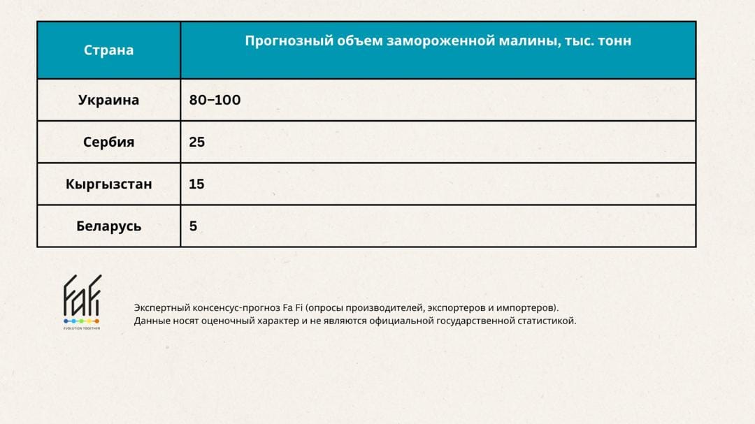 WhatsApp Image 2026-07-06 at 16.42.23 (1).jpeg
