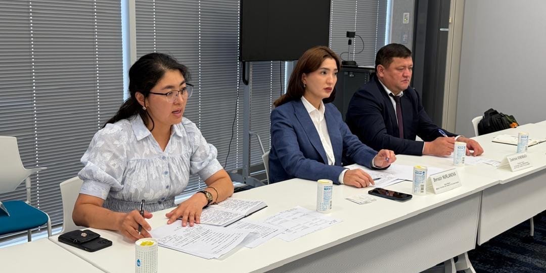 Япония поможет Кыргызстану развивать малый и средний бизнес