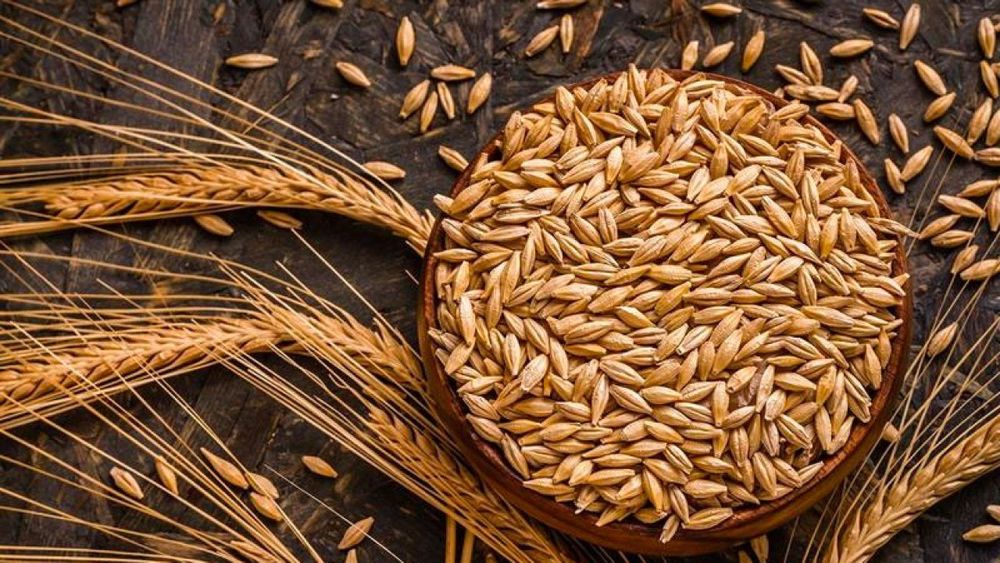 Кыргызстан может поставить в Иран 20 тысяч тонн ячменя изображение публикации