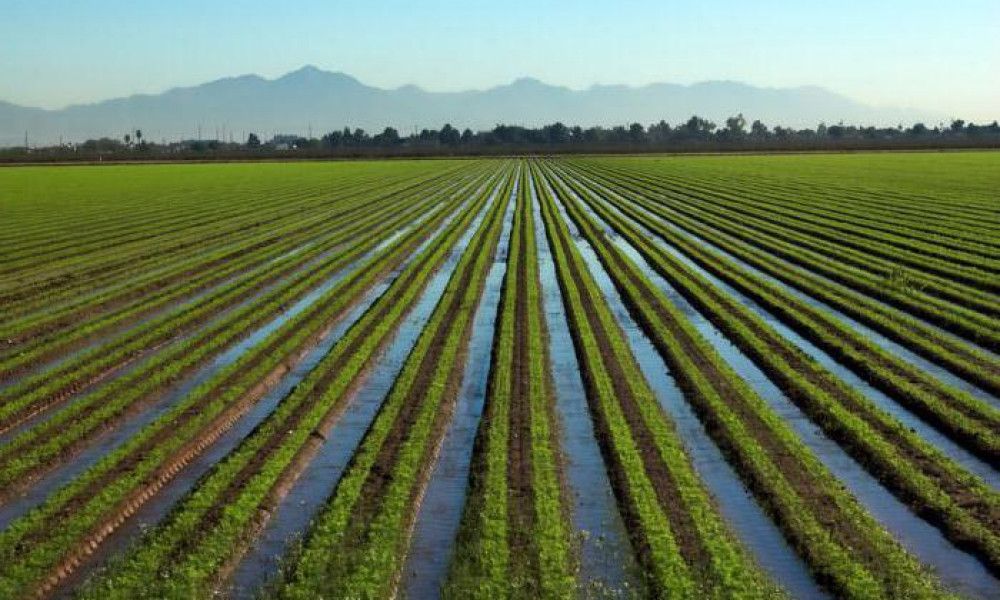 Для решения проблем с поливной водой выделено 1 млрд сомов — значительную часть направят в Чуйскую область изображение публикации