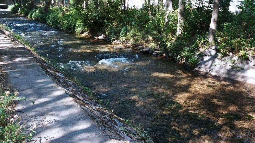 В Панфиловском районе построят новый бассейн декадного регулирования изображение публикации