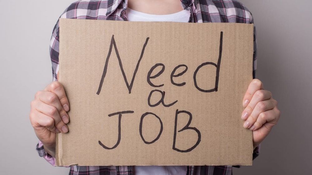 Почти 80% работодателей в Кыргызстане требуют наличие опыта изображение публикации