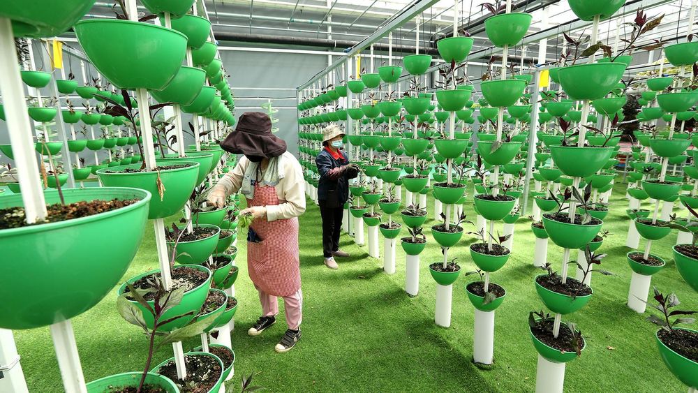 В Чуйской области создадут парк сельскохозяйственной науки и техники изображение публикации