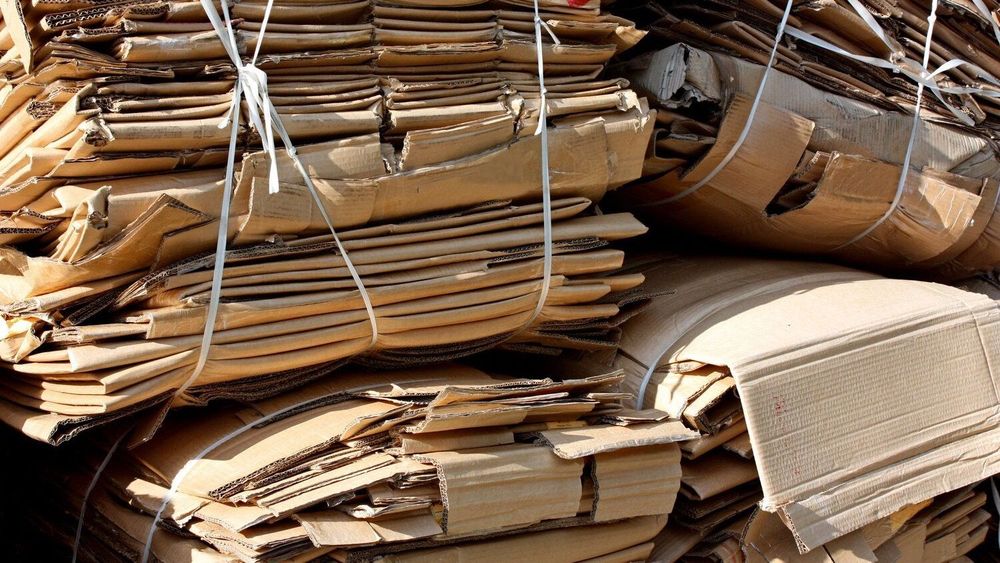 В Кыргызстане продлили запрет на экспорт макулатуры изображение публикации