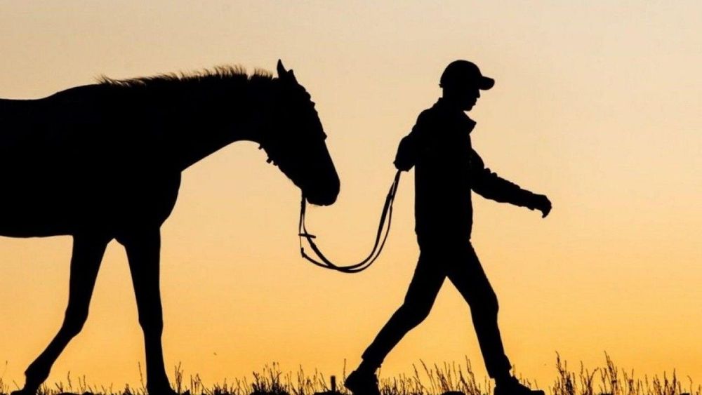 Статью о скотокрадстве хотят вернуть в Уголовный кодекс — комитет ЖК во втором чтении одобрил законопроект изображение публикации