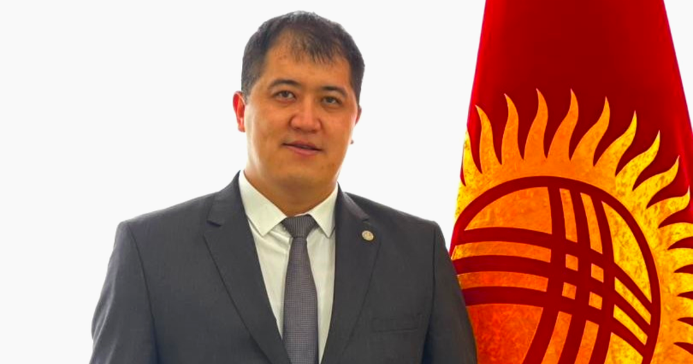 Бывший помощник Садыра Жапарова стал зампредставителя президента и кабмина в Жогорку Кенеше изображение публикации