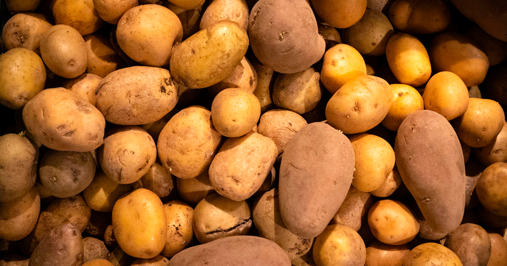 Картофель из Иссык-Кульской области будут поставлять на рынок Алматы изображение публикации