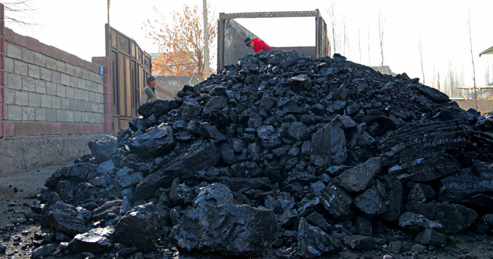 Где купить уголь по низкой цене в 4.7 тысячи сомов – адреса изображение публикации