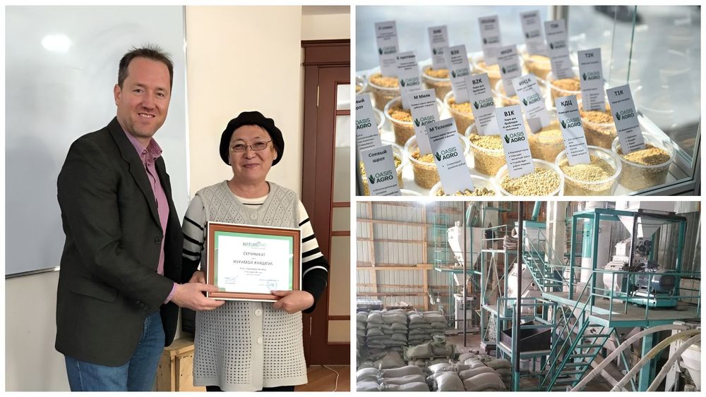 Об "игрушечном" бизнесе в США, потенциале аграриев КР, поблажках и кадровом голоде — интервью с топ-менеджером Майком Лундом изображение публикации