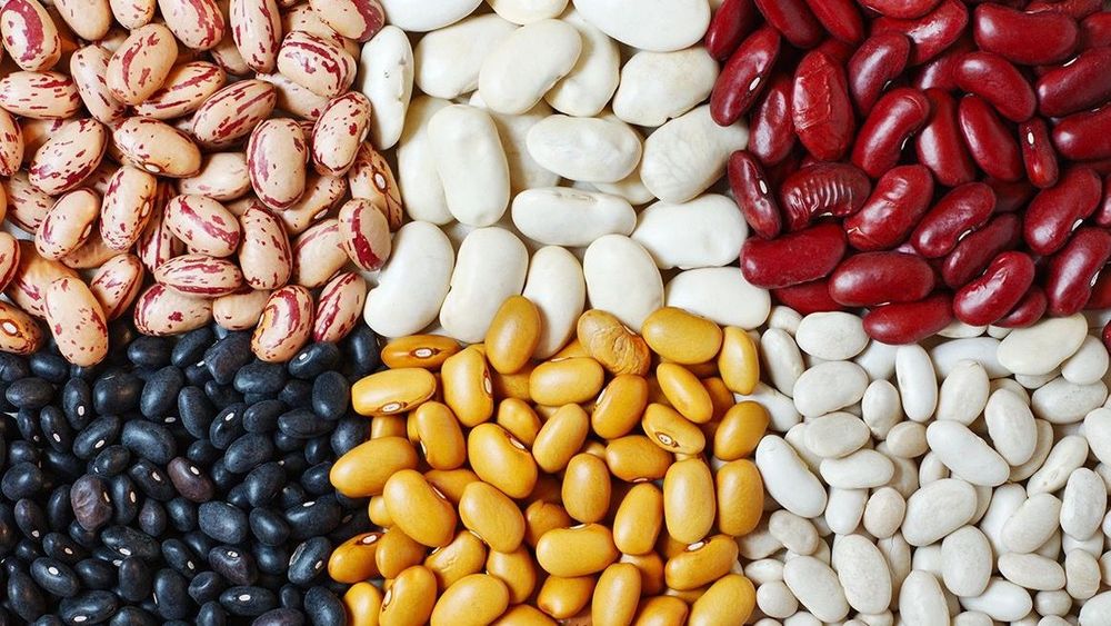 Иран снизил требования к поставкам фасоли из Кыргызстана — Минсельхоз изображение публикации