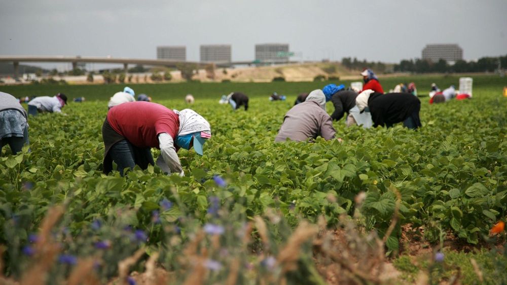 Германия хочет возвращать в Кыргызстан нелегальных мигрантов - готовит соглашение изображение публикации