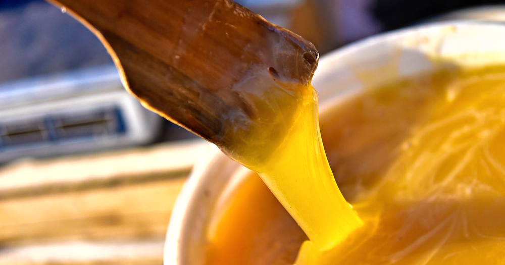 Кыргызстанский горный мед будут поставлять в Узбекистан изображение публикации