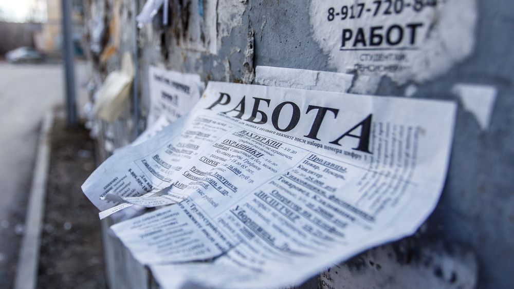 В Кыргызстане число официальных безработных уменьшилось на 7.2% изображение публикации