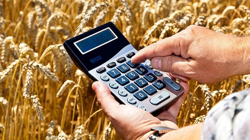 Сельхозбизнес смог получить кредиты почти на 2.7 млрд сомов благодаря Гарантийному фонду изображение публикации