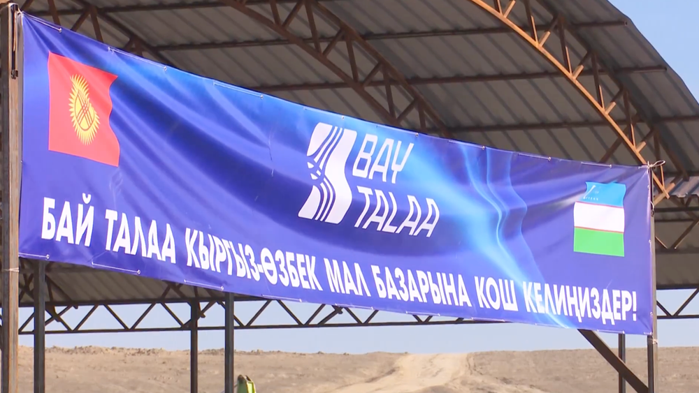 Ала-Букинские фермеры смогут экспортировать скот в Узбекистан изображение публикации