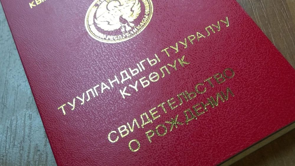 Кыргызстан вводит онлайн-подачу заявлений на регистрацию рождения и смерти изображение публикации