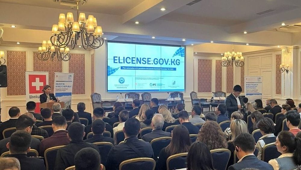 В Кыргызстане разрабатывают базу данных для быстрого получения лицензий изображение публикации